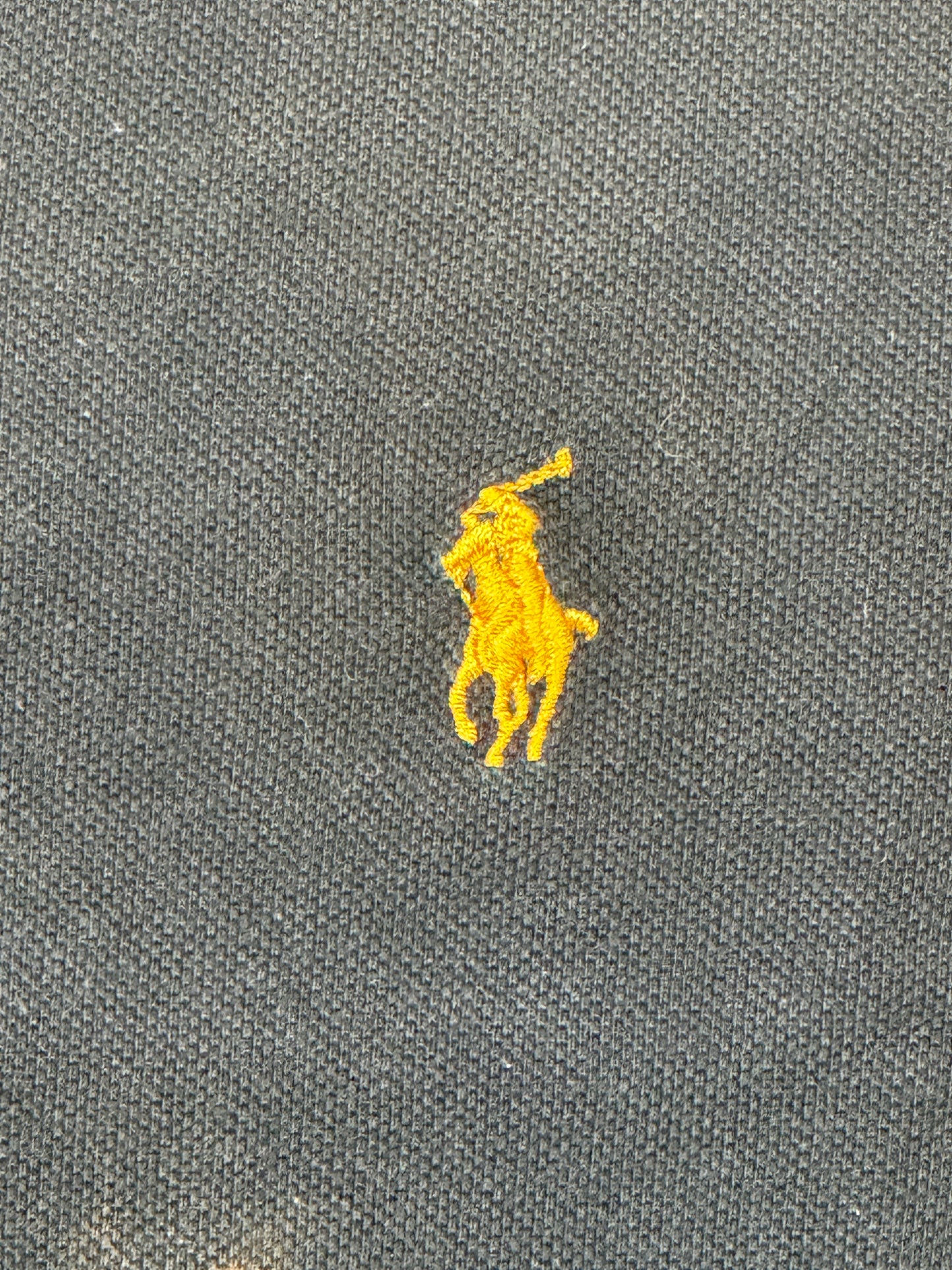 Ralph Lauren Polo (L)